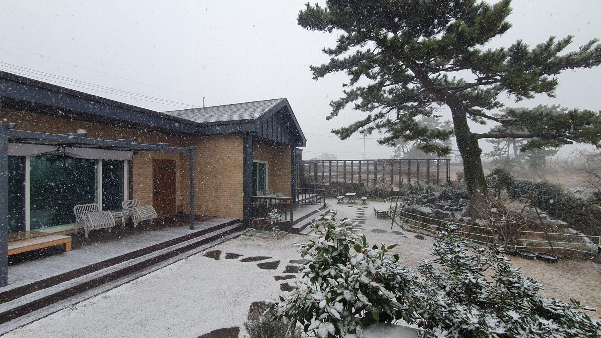 Wind Jeju Cafe & Pension Seogwipo Exteriör bild