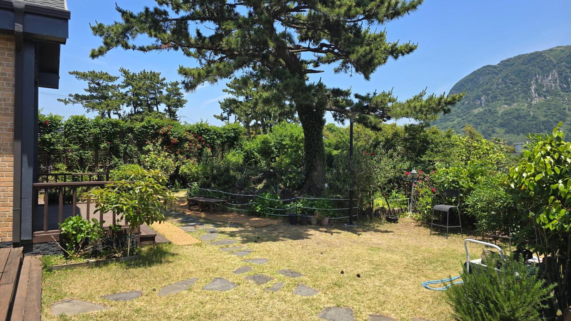 Wind Jeju Cafe & Pension Seogwipo Exteriör bild