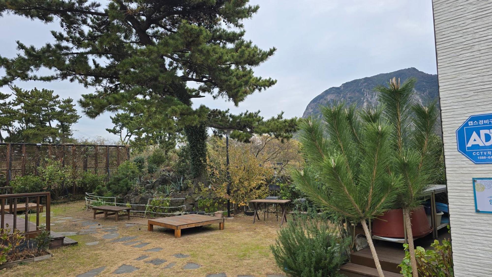 Wind Jeju Cafe & Pension Seogwipo Exteriör bild