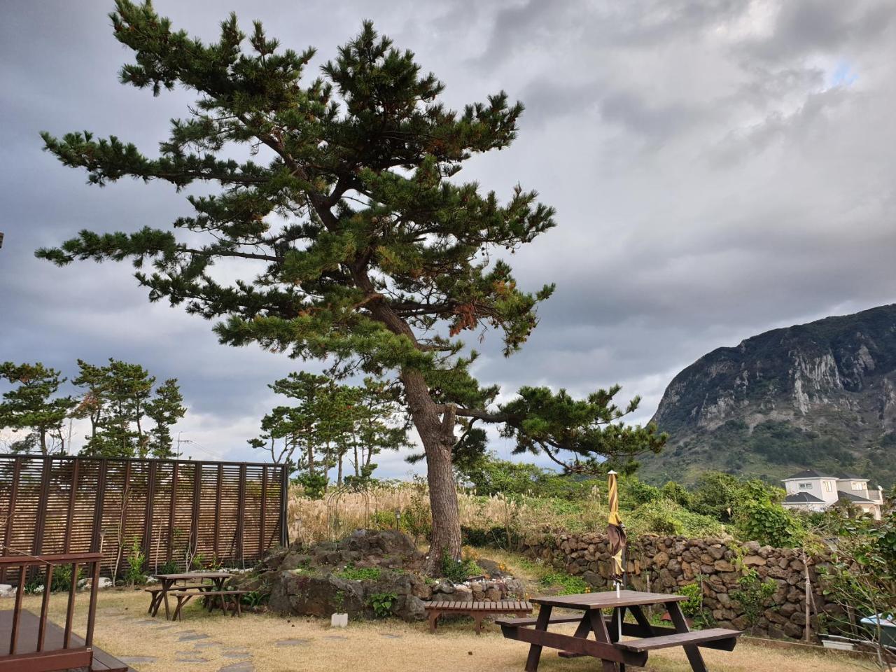 Wind Jeju Cafe & Pension Seogwipo Exteriör bild