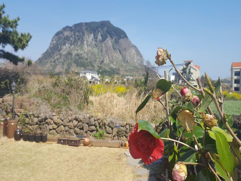 Wind Jeju Cafe & Pension Seogwipo Exteriör bild